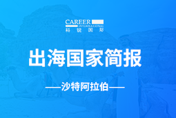 利来国际(中国)GO GLOBAL | 沙特阿拉伯国家简报